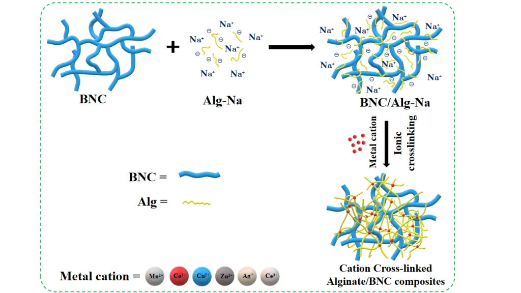 Bacterial nanocellulose-enhanced alginate double-network hydrogels cross-linked with six metal cations for antibacterial wound dressing.