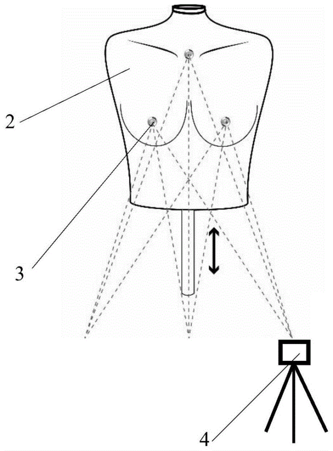 Manikin system for optimized design of bra