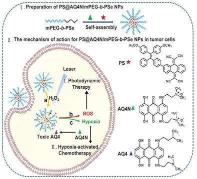 ROS‐responsive selenium‐containing carriers for coencapsulation of photosensitizer and hypoxia‐activated prodrug and their cellular behaviors